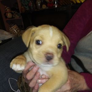 Meet your Posher, Lynn